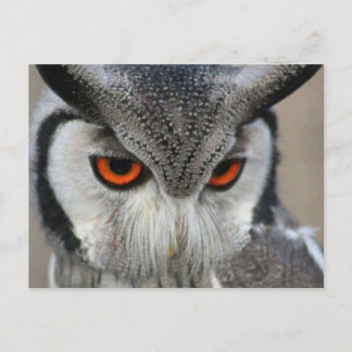 uilen postkarte