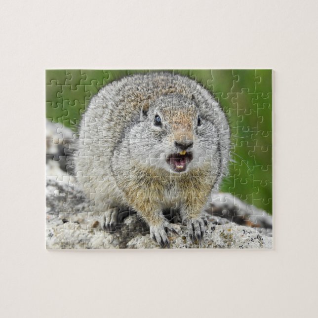 Uinta Ground Eichhörnchen Puzzle (Horizontal)