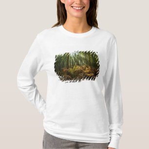 UK, England. Sonnenstrahlen, die hindurchströmen T-Shirt