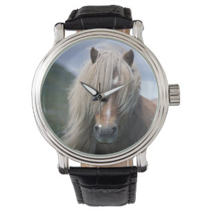 UK, Schottland, Shetland-Inseln, Shetlandpony Armbanduhr
