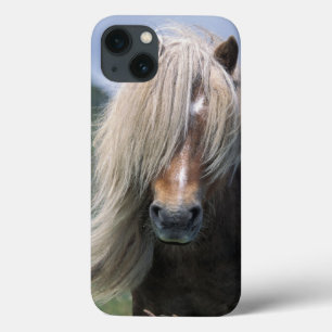 UK, Schottland, Shetland-Inseln, Shetlandpony Case-Mate iPhone Hülle