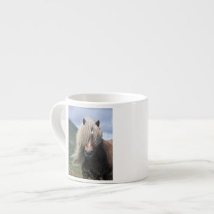 UK, Schottland, Shetland-Inseln, Shetlandpony Espressotasse
