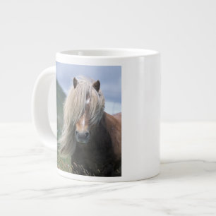 UK, Schottland, Shetland-Inseln, Shetlandpony Jumbo-Tasse