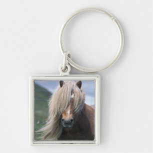 UK, Schottland, Shetland-Inseln, Shetlandpony Schlüsselanhänger
