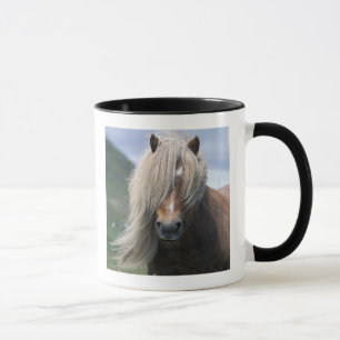 UK, Schottland, Shetland-Inseln, Shetlandpony Tasse