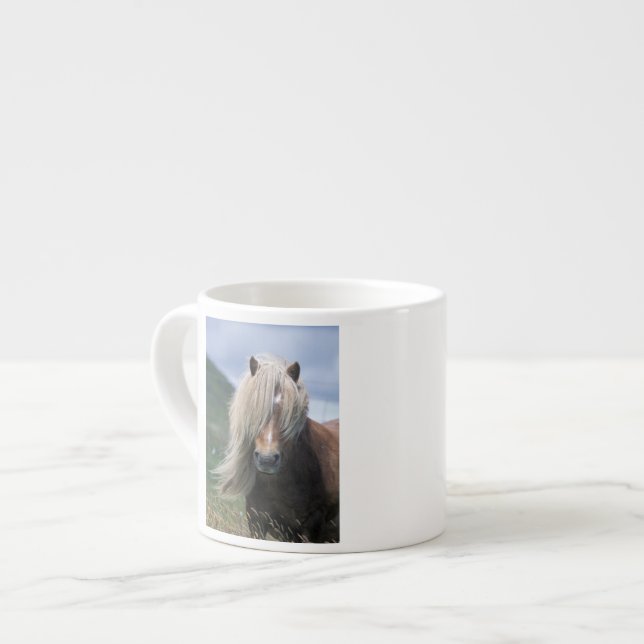 UK, Schottland, Shetland Islands, Shetland Pony Espressotasse (Vorderseite Links)