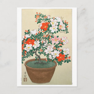 Ukiyoe [Koson] Azalea in Pot Postkarte