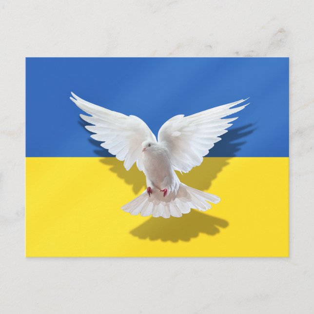 Ukraine Fahne Postkarte Frieden Dove Support Freih (Vorderseite)