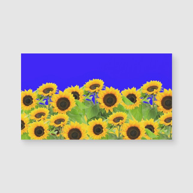 Ukraine Flag Farben Sonnenblumen Magnet (Vorderseite)