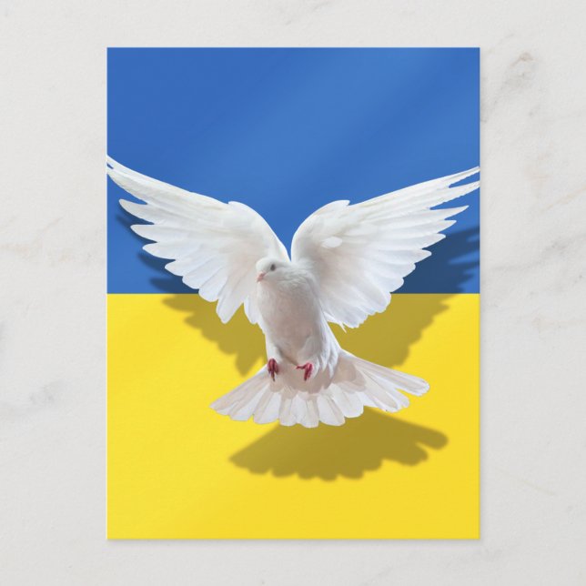 Ukraine Flag Frieden Taube Postcard Freiheit Postkarte (Vorderseite)