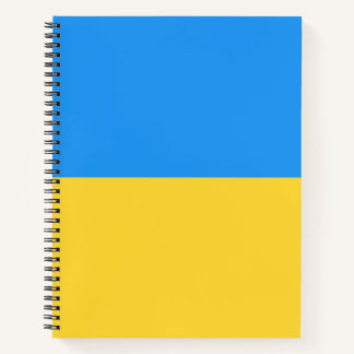 Ukraine-Flagge Notizbuch
