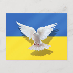 Ukraine-Flagge Postkarte Friedenstaube - Freiheit