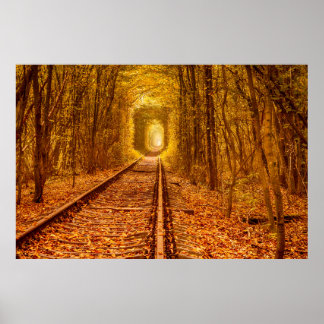 Ukraine Waldbahn-Tunnel Liebe Landschaft Poster