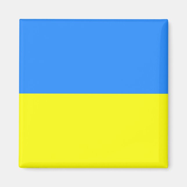 ukrainische Flagge Magnet (Vorne)