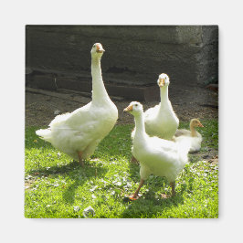 Ukrainischer Gänse Magnet