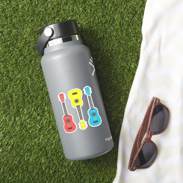 Ukulele Gitarre 3 Stk. Farbe Aufkleber (HydroFlask Insitu)
