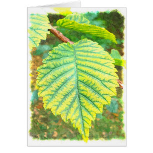 Ulmen-Blatt im Herbst