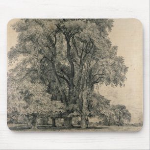 Ulmenbäume in altem Hall parken, OstBergholt, 181 Mousepad