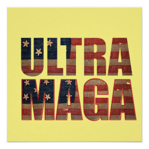 Ultra MAGA Trump Unterstützer 💡 Great Again USA Poster