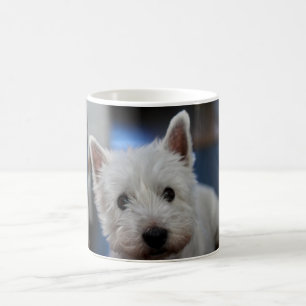 Ultra Niedliche Pestie Westie White Terrier Kaffeetasse