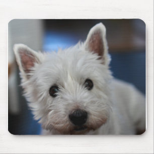 Ultra Niedliche Pestie Westie White Terrier Mousepad