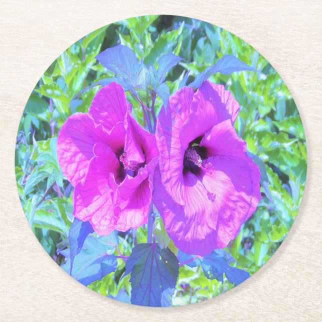 Ultra-Violet Plum Crazy Lila Hibiskus Blume Runder Pappuntersetzer (Vorderseite)