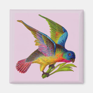 ultralfarbener Viktorianischer Vogeldruck Magnet