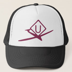 UltraLight Activity Symbols Drohne Pilot Hat Truckerkappe