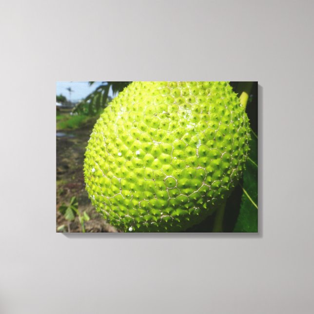 Ulu oder Breadfruit Leinwanddruck (Vorderseite)