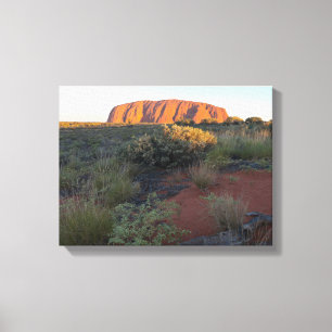 Uluru-Sonnenaufgang und Wüstenflora Leinwanddruck