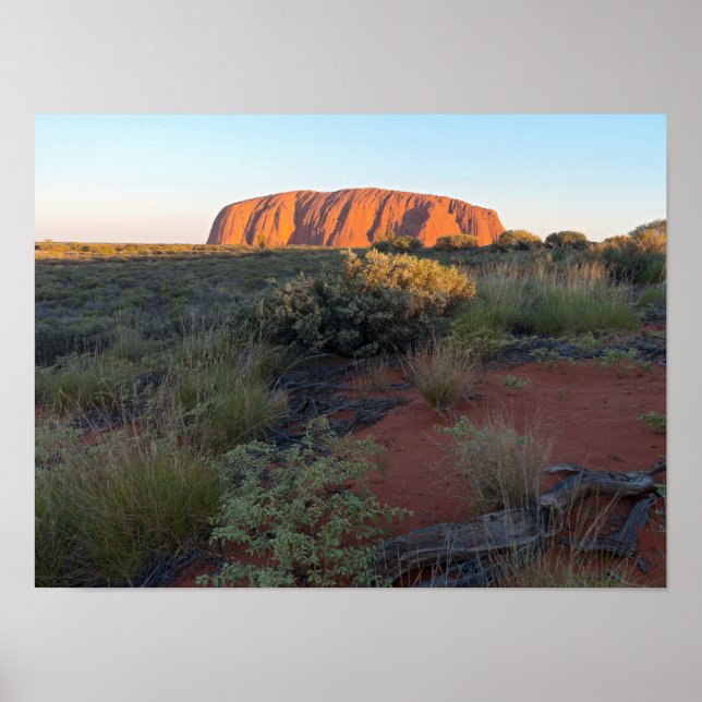 Uluru Sunrise und Wüstenflora Poster (Vorne)
