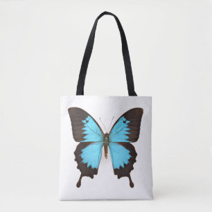 Ulysses Butterfly