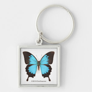 Ulysses Butterfly Schlüsselanhänger