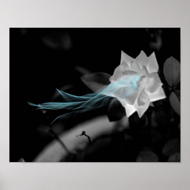 Um ein gebrochenes Herz zu heilen - Hübsches Foto  Poster (Vorne)