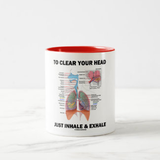 Um Ihren Kopf zu klären einfach inhalieren Sie u. Zweifarbige Tasse