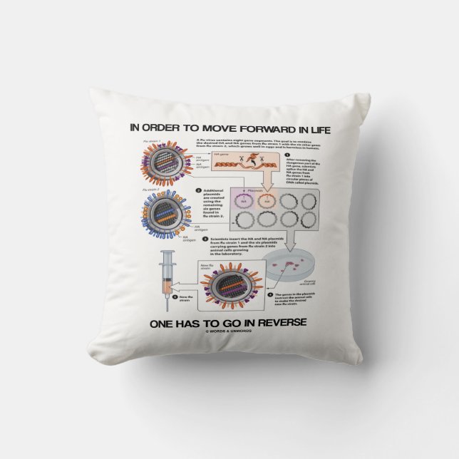 Um im Leben vorwärts zu kommen, kehrt der Spaß zur Kissen (Vorderseite)