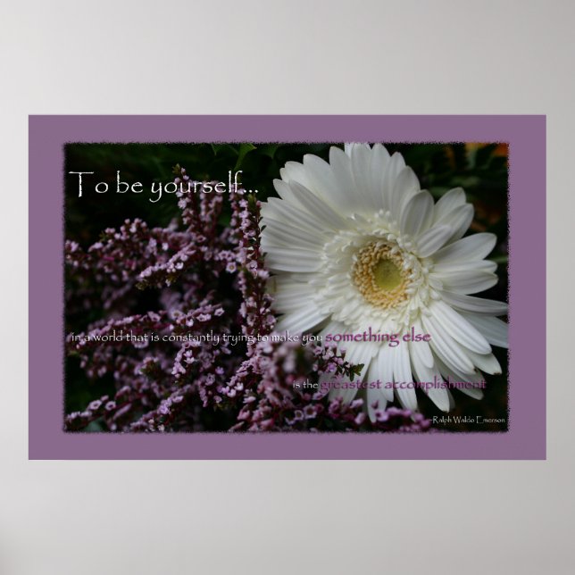 Um Sie selbst zu sein, drucken Sie gerbera daisy B Poster (Vorne)