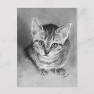 Umarme mich angenehm Kitten Postcard Postkarte