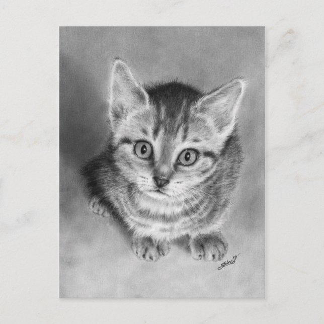 Umarme mich angenehm Kitten Postcard Postkarte (Vorderseite)