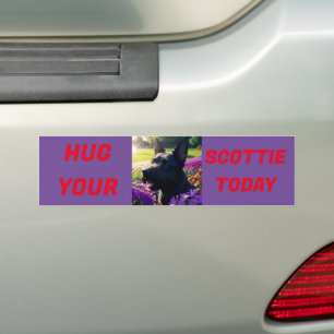 Umarmen Sie heute Ihr Schottland Autoaufkleber