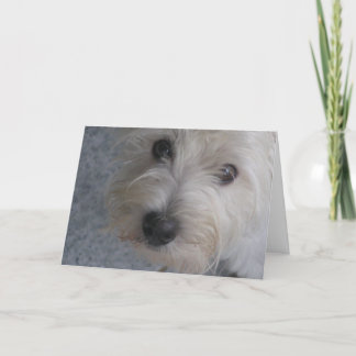 Umarmen Sie mich - Karte