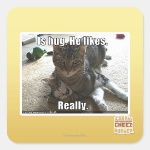 Umarmt. Er mag. Quadratischer Aufkleber