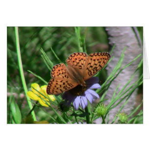 Umatilla Oregon Insekten-/Tier-Wanzen-Fauna