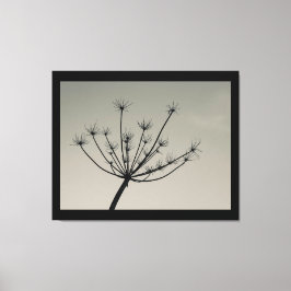 Umbellifer-Blume im Winter Canvas Print Leinwanddruck