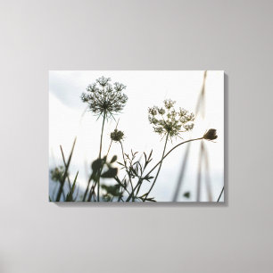 Umbels Blume Kontur - Blumenfotografie Leinwanddruck