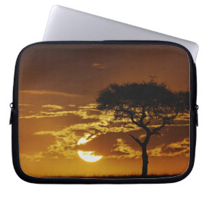 Umbrella Thorn Acacia, Acacia tortilis, Laptopschutzhülle