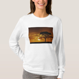 Umbrella Thorn Acacia, Acacia tortilis, T-Shirt