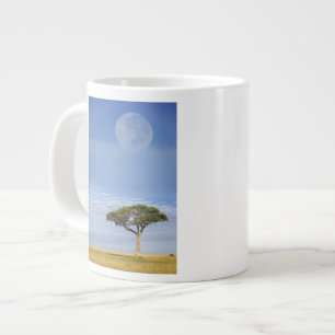 Umbrella Thorn Acacia, Acacia tortilis und Jumbo-Tasse