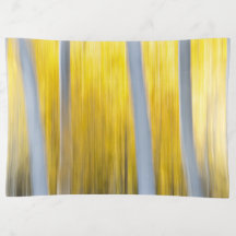 Umgeben von Aspen-Bäumen