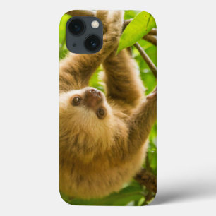 Umgedrehte Trägheit Getty Bild- Case-Mate iPhone Hülle